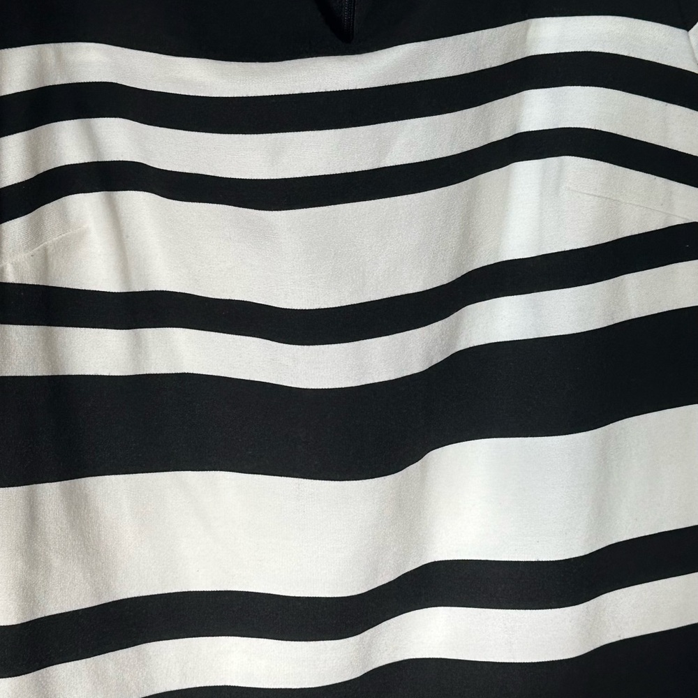 White House Black Market Black and White Striped Mini Dress
